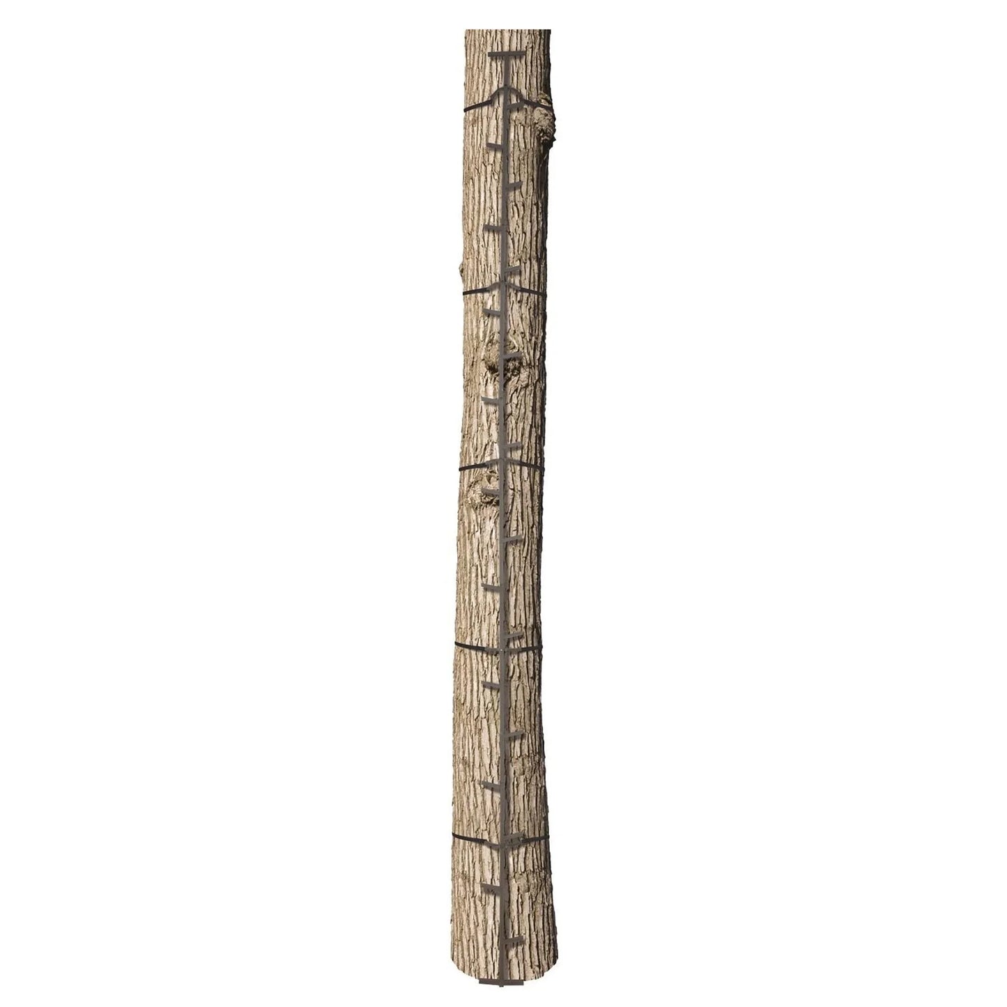 Quick-Stick Whitetail Deer Elk Mule above Hunting Outdoors Slip Resistant Ladder Style Sections Climbing System