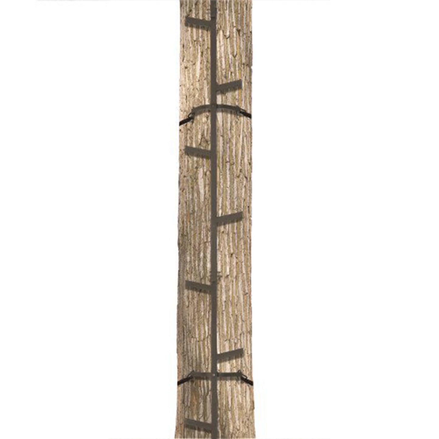 Quick-Stick Whitetail Deer Elk Mule above Hunting Outdoors Slip Resistant Ladder Style Sections Climbing System