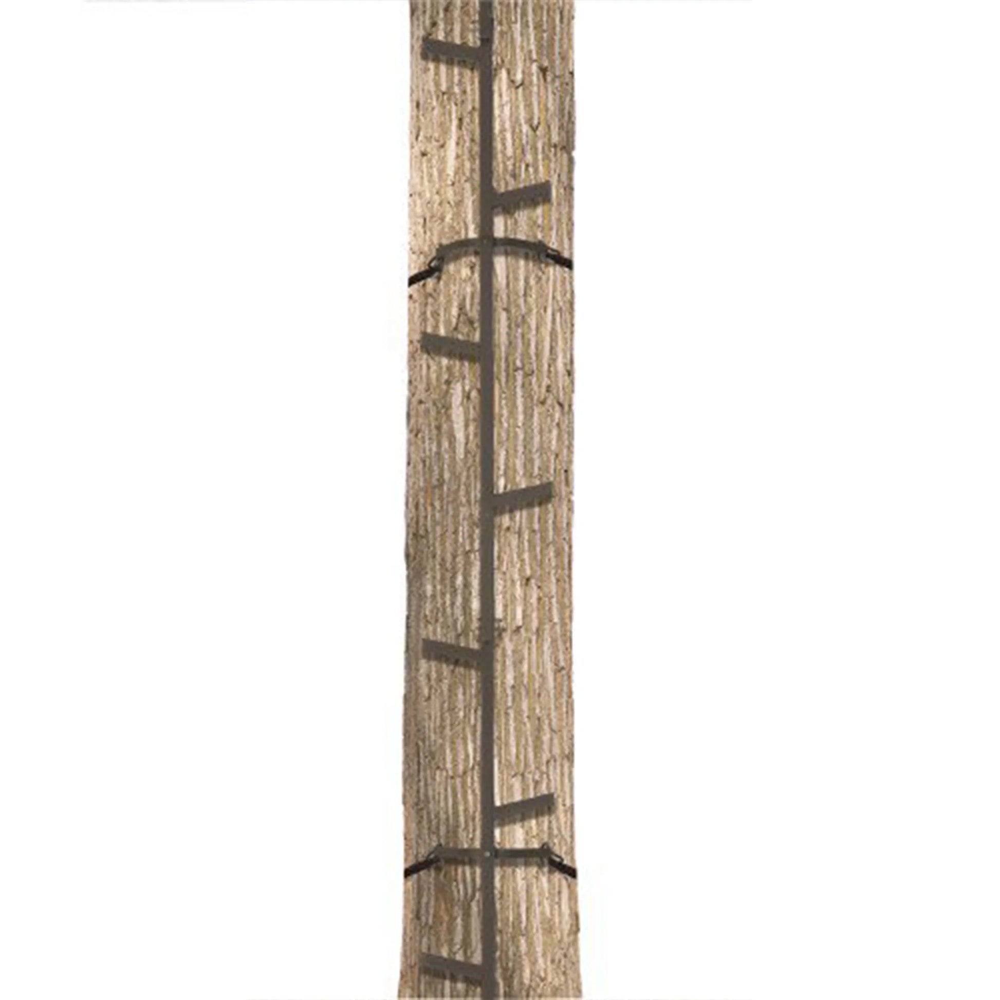 Quick-Stick Whitetail Deer Elk Mule above Hunting Outdoors Slip Resistant Ladder Style Sections Climbing System
