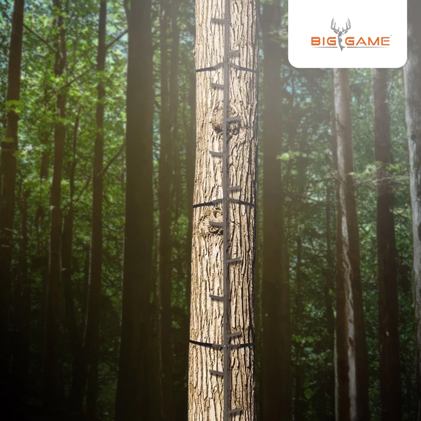 Quick-Stick Whitetail Deer Elk Mule above Hunting Outdoors Slip Resistant Ladder Style Sections Climbing System