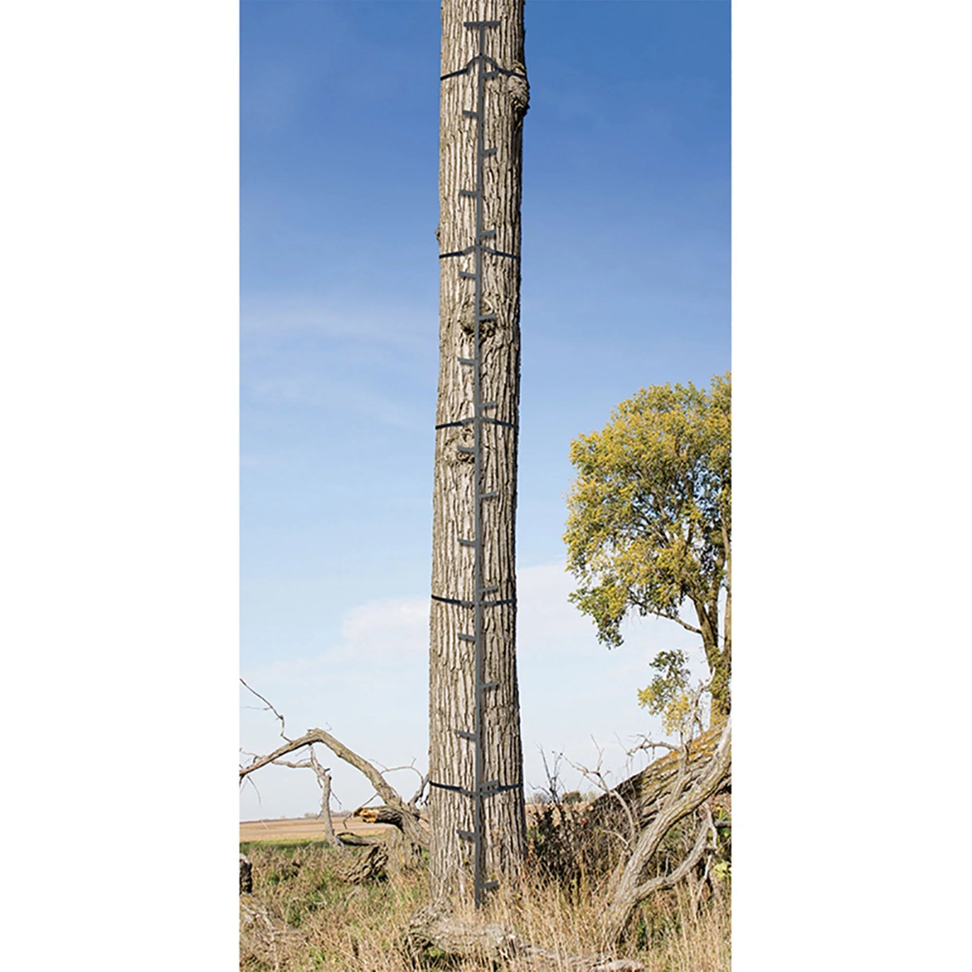 Quick-Stick Whitetail Deer Elk Mule above Hunting Outdoors Slip Resistant Ladder Style Sections Climbing System